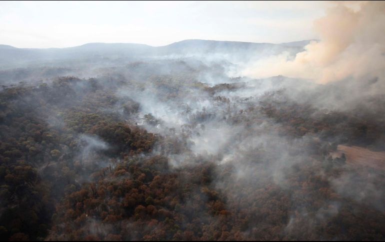 AFECTACIÓN. De acuerdo con las autoridades, la conflagración abrasó alrededor de cuatro mil 500 hectáreas: una sexta parte del Área Natural Protegida (ANP).  ESPECIAL/COORDINACIÓN GENERAL DE GESTIÓN DEL TERRITORIO