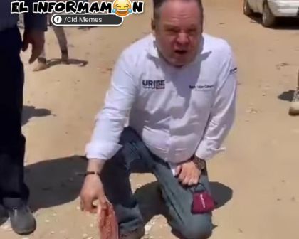 Buscando a Ceniciento