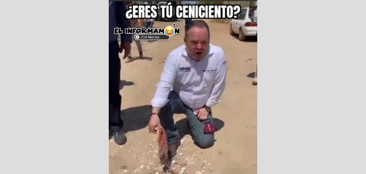 Buscando a Ceniciento