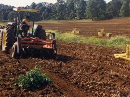 Advierten que, de permitirse la entrada de papa estadounidense a México, se afectará a miles de productores nacionales. EL INFORMADOR/ARCHIVO