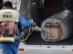 El IMSS tiene 30 mil 320 folios aprobados y pendientes de pago por un total de 347 millones 467 mil 200 pesos, para un total de entrega de apoyos por mil 105 millones 706 mil 640 pesos. EFE / ARCHIVO