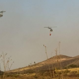 Contienen incendio en Santa Cruz de las Flores