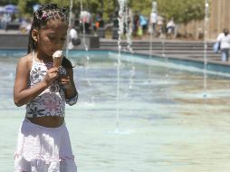 Un dato: siete de cada 10 familias mexicanas consumen helado. EL INFORMADOR / ARCHIVO