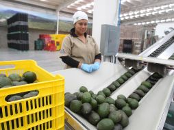 La cifra representa 43 mil mujeres menos en el mercado laboral. Por otra parte, los niveles de ingreso de las mujeres también redujeron. EL INFORMADOR / ARCHIVO