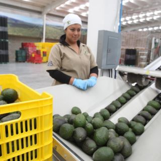 COVID-19: Cae participación laboral de mujeres durante pandemia