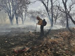 Cortesía / Bomberos de Zapopan