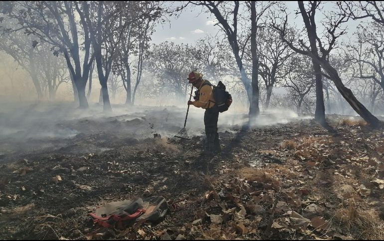 Cortesía / Bomberos de Zapopan