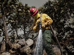 El impacto que tuvo el incendio registrado hace unos días en la zona conocida como Las Canoas debe hacer reflexionar sobre la fragilidad del área natural protegida, señala Manuel Alfaro. Semadet/ ARCHIVO