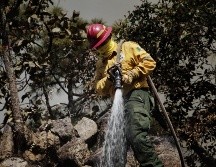 El impacto que tuvo el incendio registrado hace unos días en la zona conocida como Las Canoas debe hacer reflexionar sobre la fragilidad del área natural protegida, señala Manuel Alfaro. Semadet/ ARCHIVO