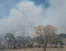 se cuenta con el apoyo aéreo de 3 helicópteros: Tláloc de Zapopan, y Cuauhtli y Witari de Semadet. TWITTER / @SemadetJal