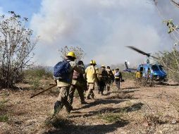Cientos de brigadistas continúan combatiendo el fuego que inició desde la tarde de ayer martes en el paraje Los Volcanes, del Bosque La Primavera. ESPECIAL / Gobierno de Jalisco