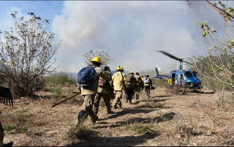 Cientos de brigadistas continúan combatiendo el fuego que inició desde la tarde de ayer martes en el paraje Los Volcanes, del Bosque La Primavera. ESPECIAL / Gobierno de Jalisco