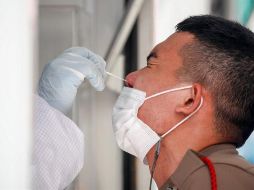 Los servicios de Inteligencia trabajan con otras agencias gubernamentales y universidades para tratar de determinar la procedencia exacta del virus. EFE/D. Azubel