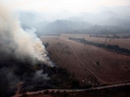 El incendio se ha reportado como controlado y continúan labores de liquidación, así mismo se verificó que las condiciones meteorológicas favorecen la dispersión de contaminantes. ESPECIAL / Gobierno de Jalisco