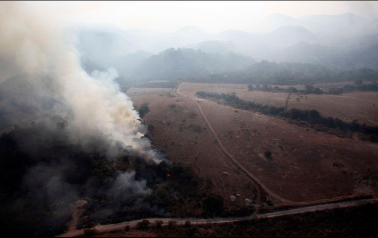 El incendio se ha reportado como controlado y continúan labores de liquidación, así mismo se verificó que las condiciones meteorológicas favorecen la dispersión de contaminantes. ESPECIAL / Gobierno de Jalisco