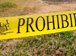 El anterior corte, el 30 de marzo, era de 62 cuerpos encontrados en la fosa clandestina. EFE/ARCHIVO