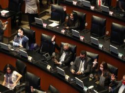 El objetivo de esta propuesta es erradicar el nepotismo, la corrupción, la discrecionalidad y el hostigamiento sexual. SUN/ARCHIVO