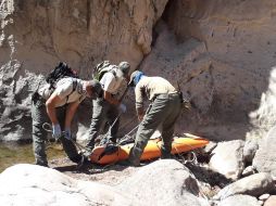 El halazgo ocurre en la comunidad del Platanito en el municipio de San Martín de Bolaños. ESPECIAL / PC Jalisco