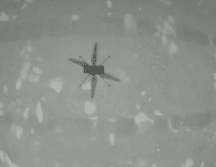 Así se ve la sombra de Ingenuity sobre Marte. NASA/JPL-CALTECH