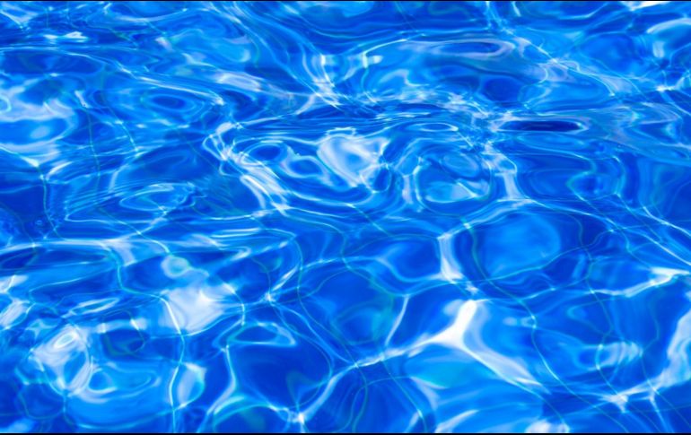 Organiza una albercada en casa. ESPECIAL/Photo por Victor Curty en Unsplash