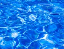 Organiza una albercada en casa. ESPECIAL/Photo por Victor Curty en Unsplash