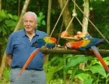 “La vida a color con David Attennborough” es el único estreno de Netflix de este jueves. CORTESÍA / Netflix