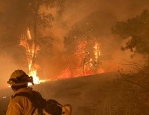 Bomberos de Zapopan se unieron a las labores de combate al incendio. TWITTER@UMPCyBZ