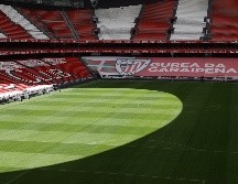 Sevilla se añade a las ciudades anfitrionas, asumiendo la organización de los partidos previstos en la ciudad vasca. EFE / L. Tejido