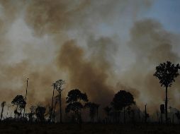 Bajan presupuesto para bosques; aumentan incendios forestales