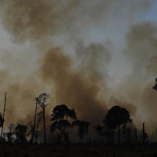 Bajan presupuesto para bosques; aumentan incendios forestales
