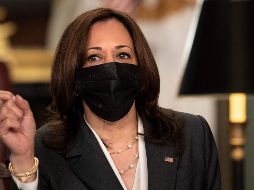 El encuentro con la vicepresidenta de Estados Unidos será de manera virtual.  AFP / B. Smialowski