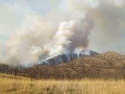 La temporada de estiaje de 2021 ya ha cobrado miles de hectáreas de vegetación en el bosque La Primavera, y faltan al menos dos meses para que inicien las lluvias. TWITTER/SemadetJal