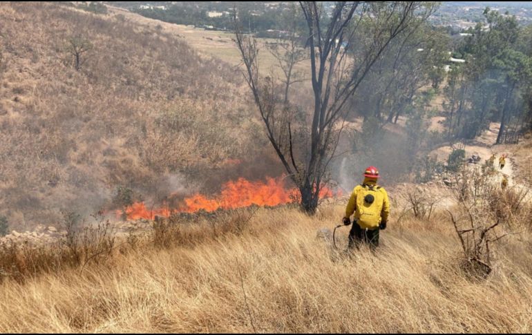 El fuego quedó controlado poco después de las 4:00 de la tarde. ESPECIAL / Bomberos de Zapopan