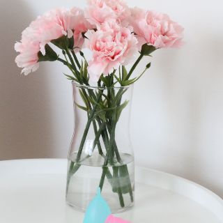 Copa menstrual: Independencia y conciencia con el medio ambiente