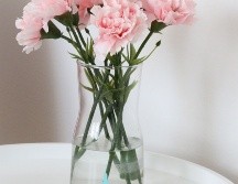 Copa menstrual: La revolución del periodo femenino en el siglo XXI. /ESPECIAL/Photo by Good Soul Shop on Unsplash.