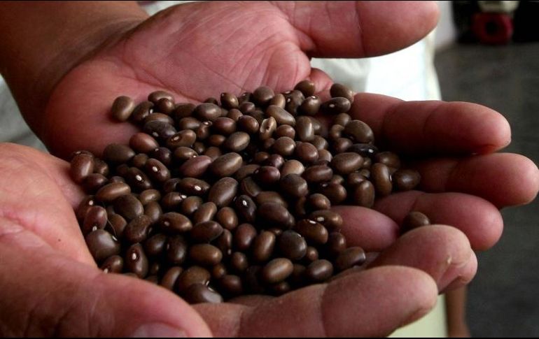 Durante 2020, el frijol fue uno de los productos que más se incrementó en su precio. SUN/ARCHIVO