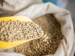 La escasez de frijol obligará a importar estas leguminosas, por lo que aumentarán aún más sus precios. EL INFORMADOR / ARCHIVO