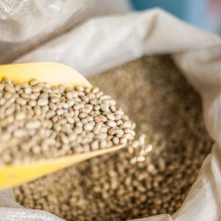 Sube el precio del frijol por desabasto; mira en cuánto está