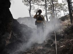 El pasado 30 de marzo, el hombre se dirigió a un punto del paraje Villa Felicidad, donde acumuló pastizal y hojarasca y les prendió fuego con un encendedor.  ESPECIAL / ARCHIVO