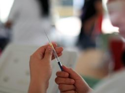 Los biológicos que se aplicarán son de Pfizer, AstraZeneca, Sinovac, Sputnik V y CanSino, y si bien la página para registrarse ya está habilitada, la vacunación está planeada para mayo y junio.  XINHUA/ARCHIVO