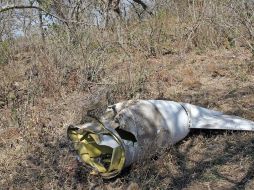 Se desconocen por el momento las causas del accidente y el aeropuerto del que despegó la aeronave. NTX/ARCHIVO