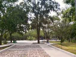 La zona luce fresca gracias a sus áreas verdes en las que se trabajaron arriates para plantas y se instaló un sistema de riego por goteo para ellas. ESPECIAL