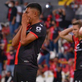 ¡Cuidado! Los Zorros dependen de sí mismos 