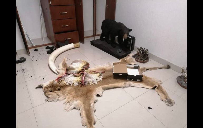 Autoridades realizaron las labores de registro en una casa de la calle Del Archiduque. ESPECIAL/Fiscalía de Jalisco