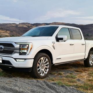 Lobo 2021, aullido híbrido