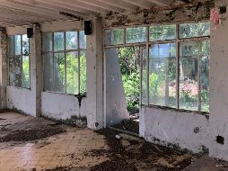 El Municipio, ha solicitado que a este Parque Puerta de la Barranca se le realicen las adecuaciones necesarias al proyecto con el fin de que se obtenga la Certificación EDGE Zero. ESPECIAL