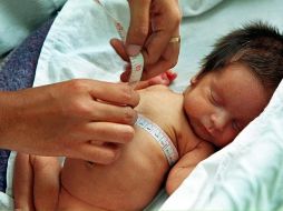 La mamá dio a luz por cesárea a sus nueve bebés hace unos días. AFP/ARCHIVO