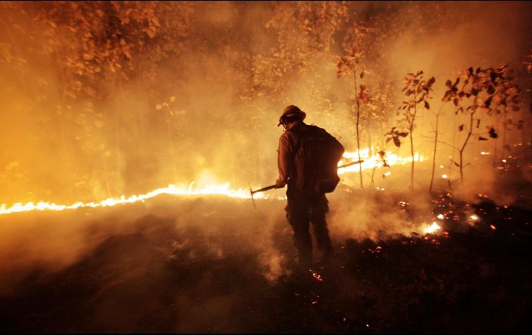En La Primavera, del 2001 al 2020 se han registrado 558 incendios dentro de la superficie protegida con un daño de 70 kilómetros cuadrados. SEMADET/ ARCHIVO