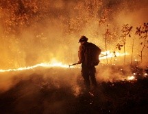 En La Primavera, del 2001 al 2020 se han registrado 558 incendios dentro de la superficie protegida con un daño de 70 kilómetros cuadrados. SEMADET/ ARCHIVO