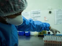 Brasil registra una tasa de mortalidad de 198 decesos por cada 100 mil habitantes. EFE/ARCHIVO